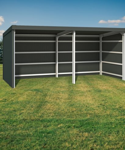 Double Shelter - Skillion